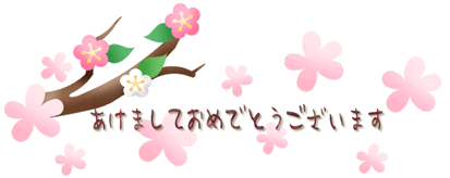 あけまして、おめでとうございます。